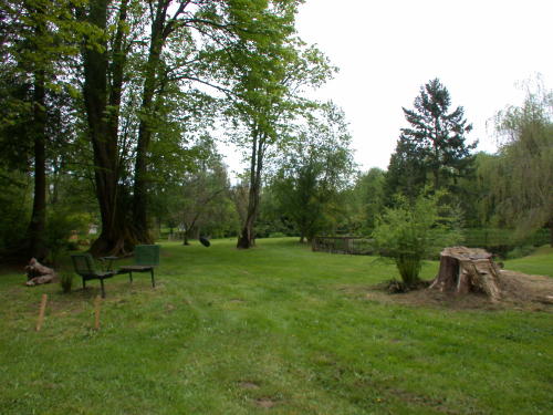 Lower level fireplace